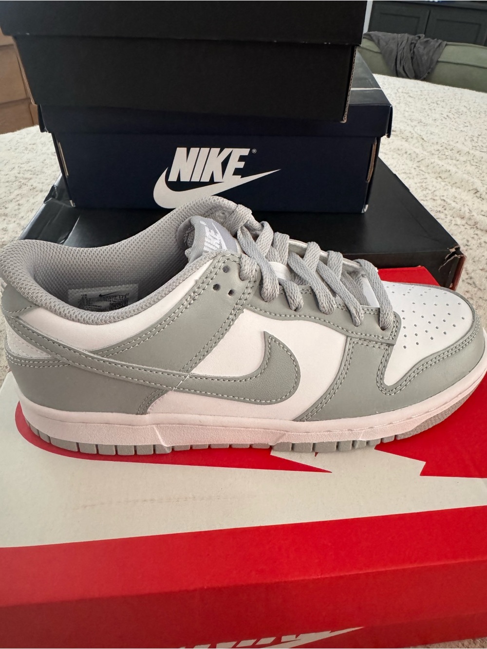 Nike Grey and White Low-Top Skate/Sneaker
